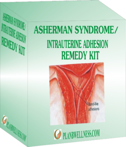 Asherman's Syndrome Remedy Kit