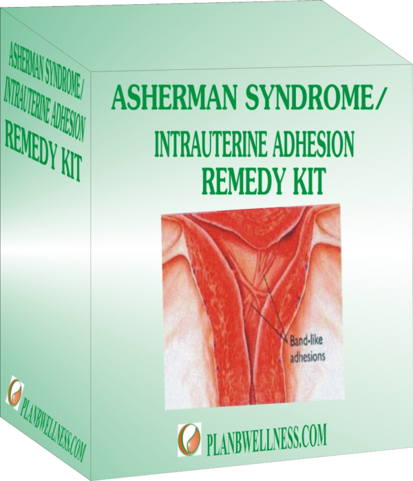 natural remedy to overcome Asherman syndrome
